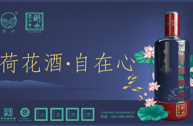 衡水老白干荷花酒包装设计