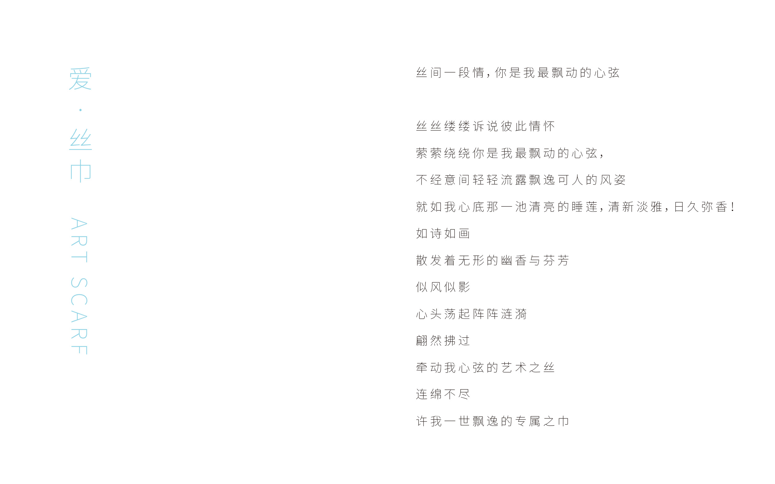 私巾包装设计