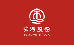 宋河酒包装设计_宋河酒盒包装设计_宋河包装设计公司